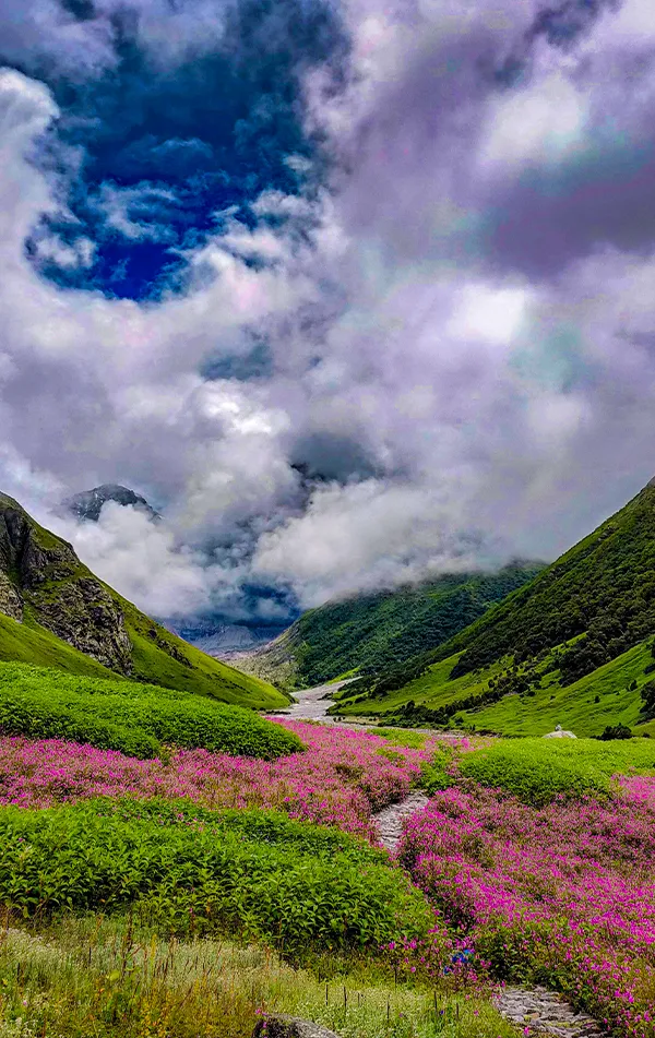 Valley of Flowers Trek   